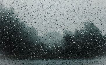 雨来读后感400字最新7篇