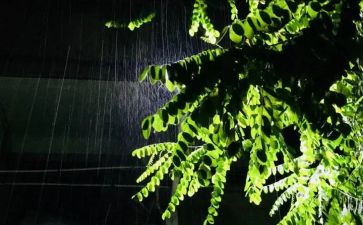 写雨过天晴的作文6篇