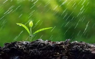 雨天二年级作文6篇