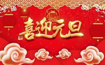 元旦节活动个人总结5篇
