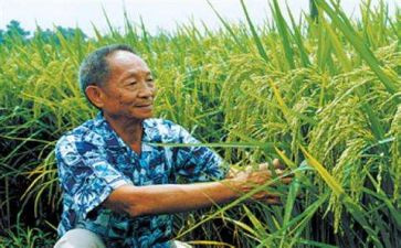 对袁隆平的作文6篇