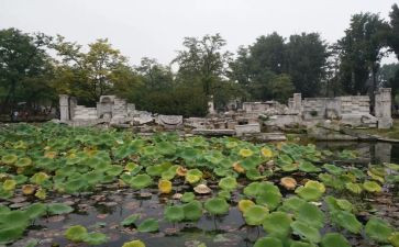 写圆明园毁灭的读后感优质8篇