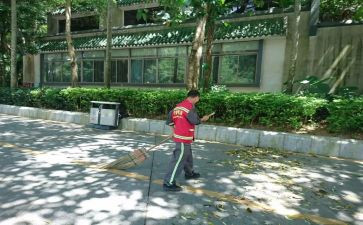 园容清扫个人总结6篇