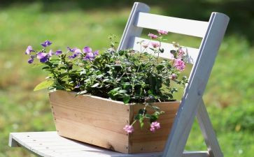 中学校园艺术节活动方案7篇