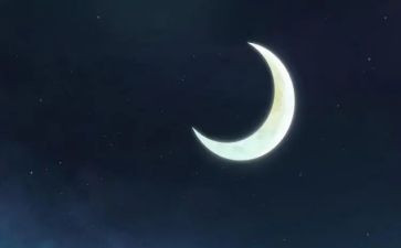月亮走读后感最新5篇