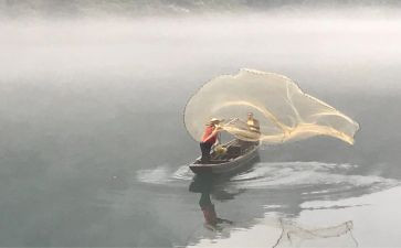 渔夫与金鱼的故事的读后感8篇
