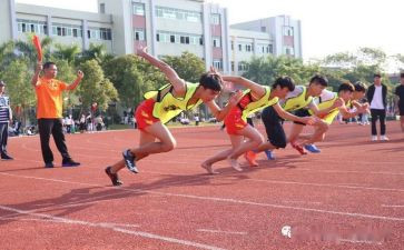 英语2024奥运会作文8篇