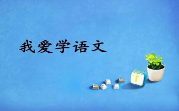 教师个人总结语文最新8篇