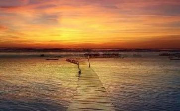 其实我在乎你800作文6篇