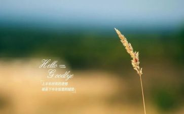 再见,母校作文参考5篇