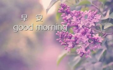 早教学期末总结优质7篇
