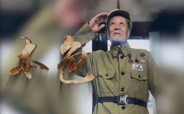 张富清学习心得5篇