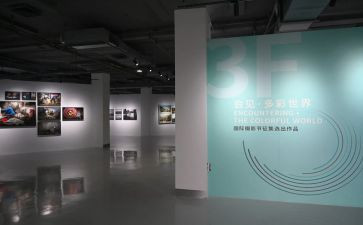 云展览观后感优质8篇