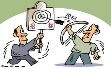 招标代理个人总结6篇