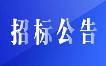 招标工作的个人总结8篇