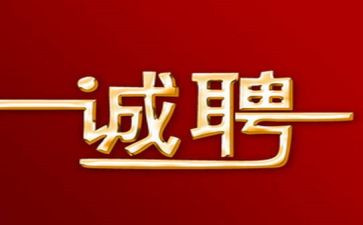 2024招聘工作总结范文7篇