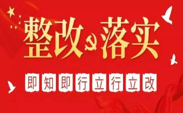 酒的整改报告优秀5篇