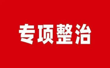 局整治工作总结模板8篇