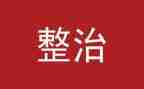 133专项整治活动总结7篇