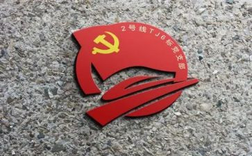 支部年总结报告5篇