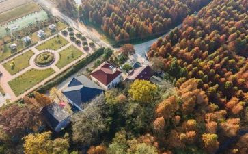 市域化社会治理工作总结7篇