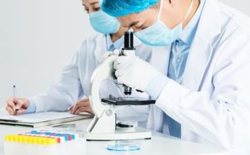 质量年度工作总结范文7篇