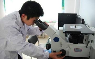 质量部半年度工作总结6篇