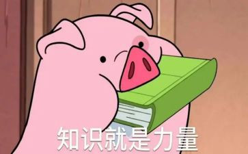 关于团的知识的心得体会精选5篇