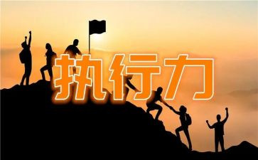 销售执行心得体会5篇