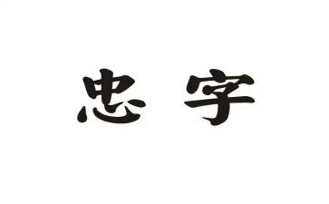 忠的心得体会500字最新5篇