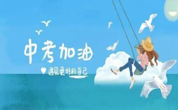 汉中考编教师工作总结7篇