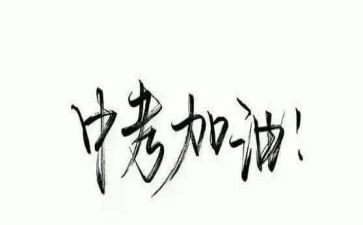 关于谈中考的作文模板6篇