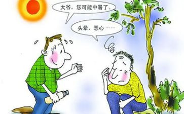 初中暑期培训心得体会8篇