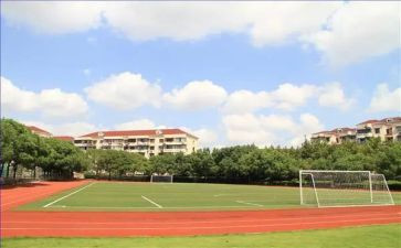 初中学校德育工作总结2023精选8篇