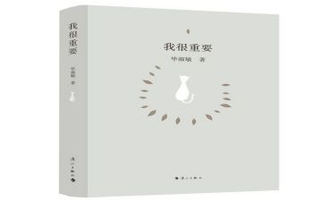重要的我作文800字7篇