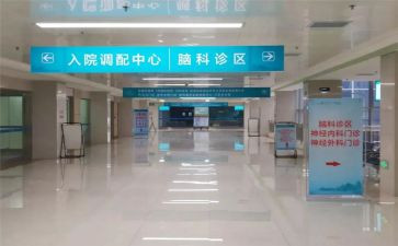 2023专科总结报告5篇