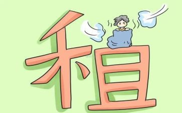 转租房子合同优质7篇
