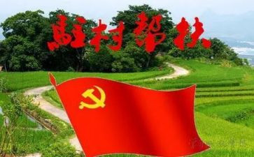 驻村干部个人总结优秀5篇