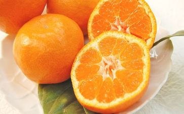 橘子的浮与沉教案7篇