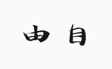 爱与自由的读后感8篇