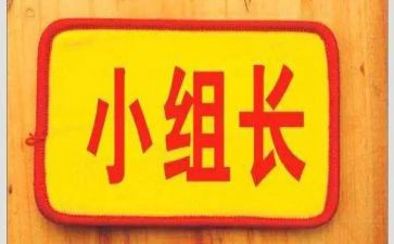 组长月心得体会6篇