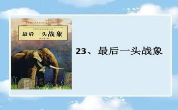读最后一头战象读后感最新5篇