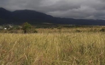 房屋租赁合同最新6篇