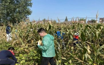 做农活心得体会5篇