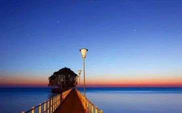 做自己的小主人教案7篇