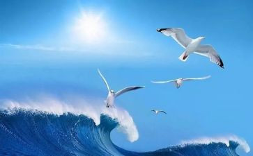 做自己的小主人作文6篇